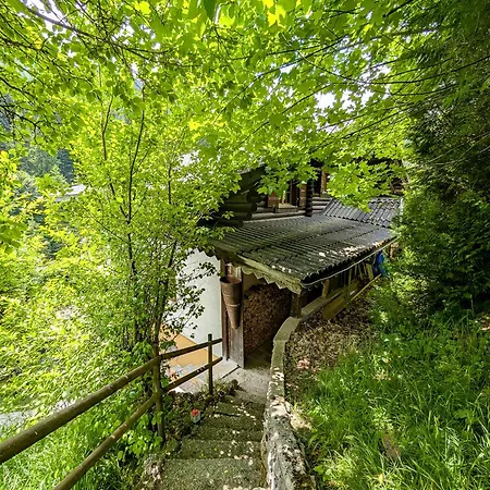 Lejlighed Grand Familial En Pleine Nature