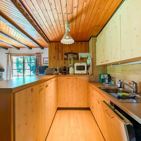 Grand Familial En Pleine Nature A Torgon